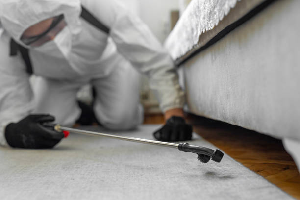 Professional Bed Bug Control technician working in Hettinger County County, ND